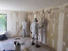 Best Dehumidification Services in USA